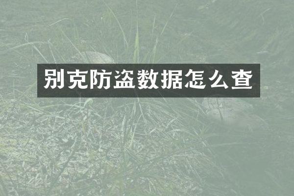 别克防盗数据怎么查