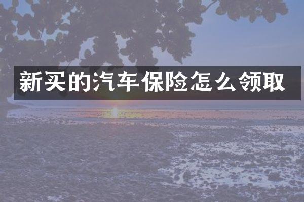 新买的汽车保险怎么领取