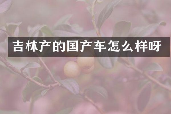 吉林产的国产车怎么样呀