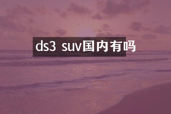 ds3 suv国内有吗