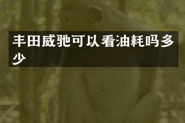 丰田威驰可以看油耗吗多少