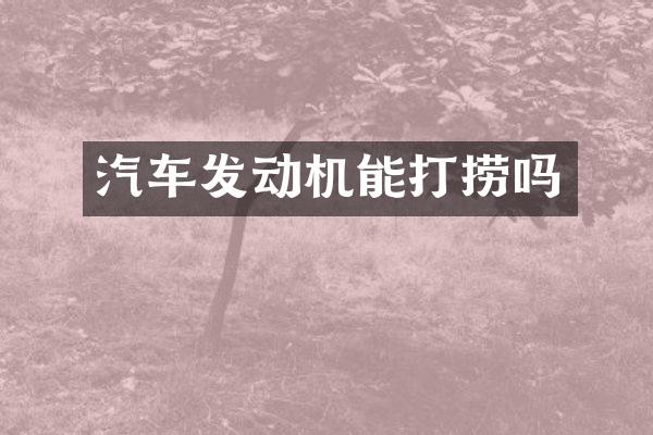 汽车发动机能打捞吗