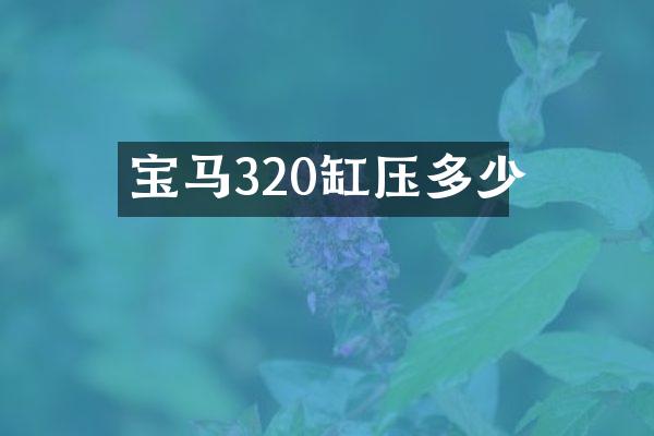 宝马320缸压多少