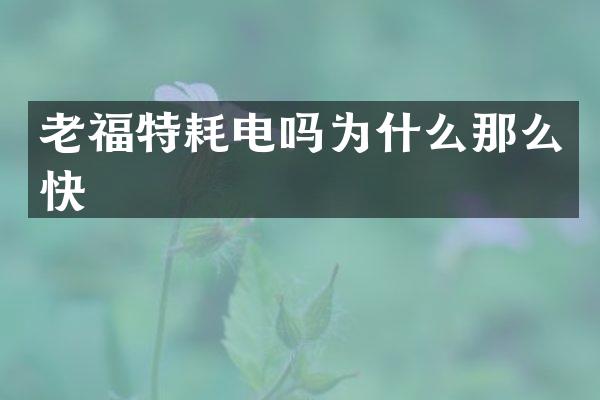 老福特耗电吗为什么那么快