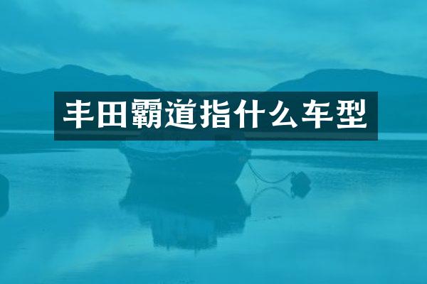 丰田霸道指什么车型