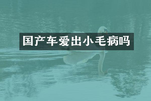 国产车爱出小毛病吗