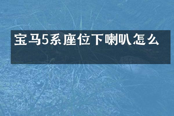 宝马5系座位下喇叭怎么拆