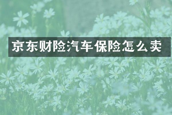 京东财险汽车保险怎么卖