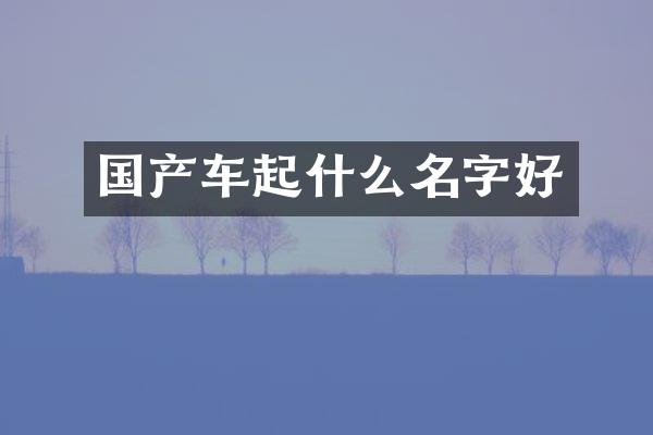 国产车起什么名字好