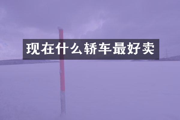 现在什么轿车最好卖