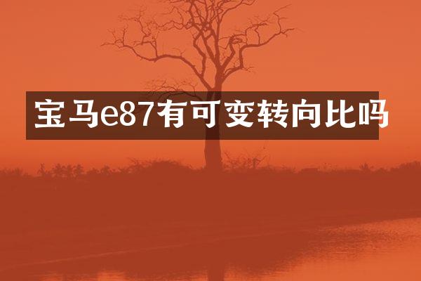 宝马e87有可变转向比吗