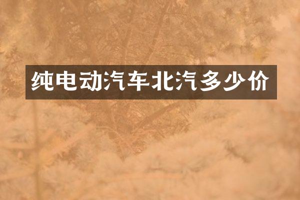 纯电动汽车北汽多少价