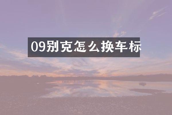 09别克怎么换车标
