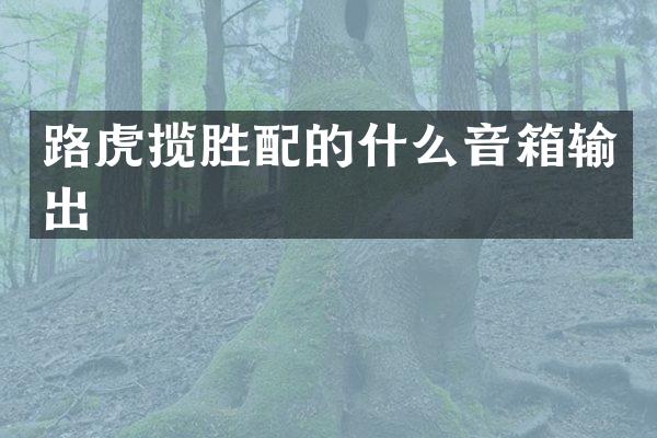 路虎揽胜配的什么音箱输出