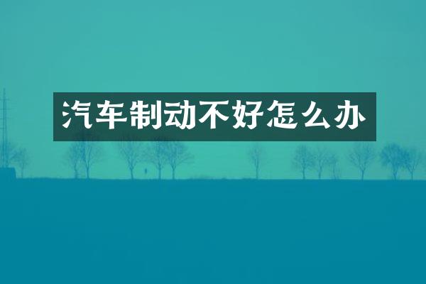 汽车制动不好怎么办