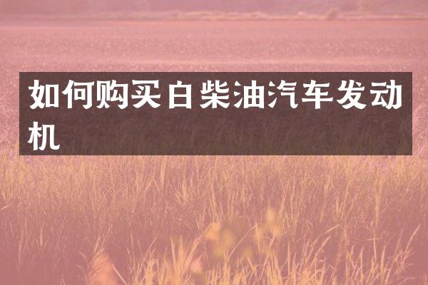 如何购买白柴油汽车发动机