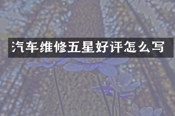 汽车维修五星好评怎么写