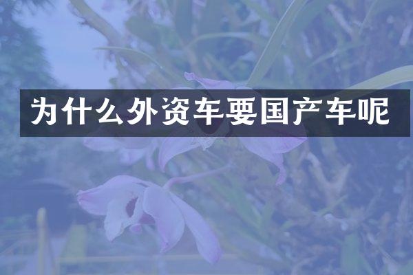 为什么外资车要国产车呢
