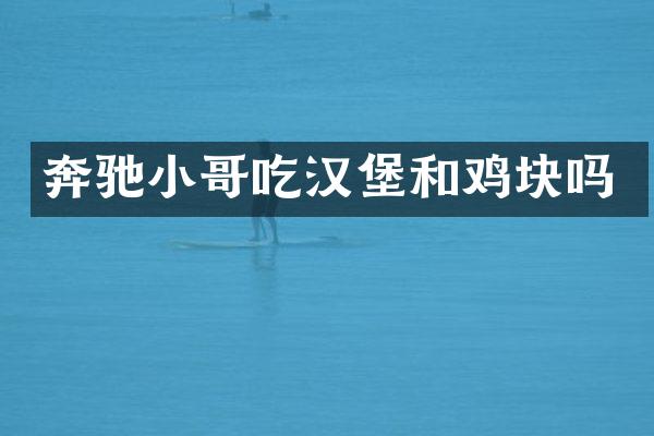 奔驰小哥吃汉堡和鸡块吗