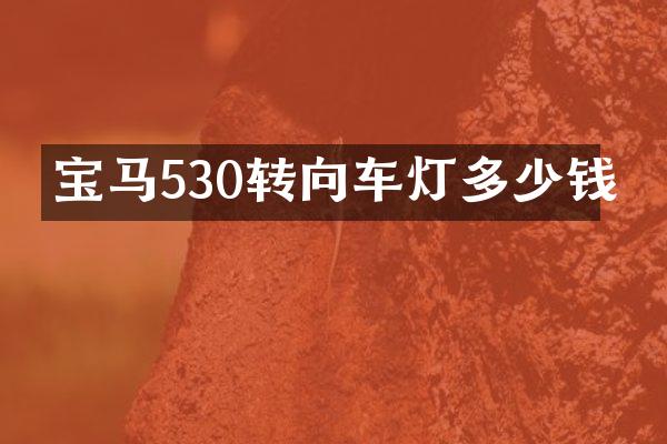 宝马530转向车灯多少钱