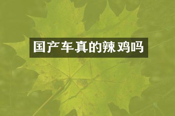 国产车真的辣鸡吗