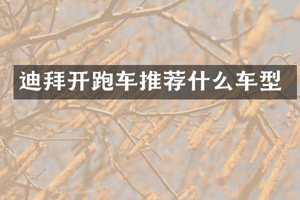 迪拜开跑车推荐什么车型