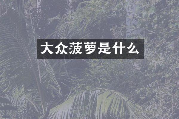 大众菠萝是什么