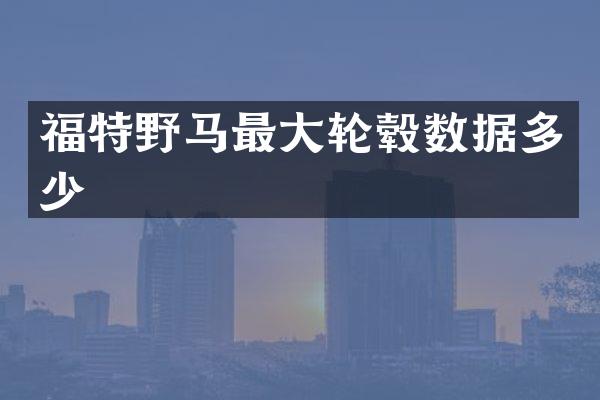 福特野马最大轮毂数据多少