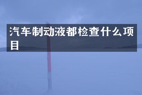 汽车制动液都检查什么项目
