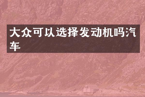 大众可以选择发动机吗汽车