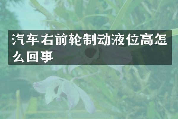 汽车右前轮制动液位高怎么回事