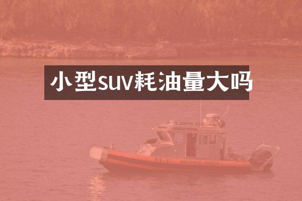 小型suv耗油量大吗