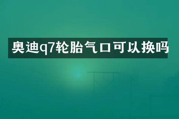 奥迪q7轮胎气口可以换吗