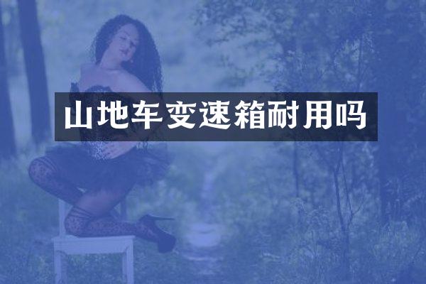 山地车变速箱耐用吗