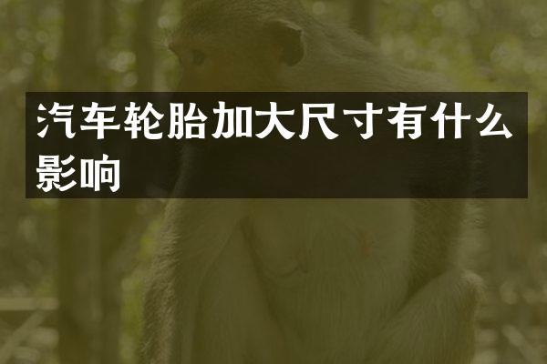 汽车轮胎加大尺寸有什么影响