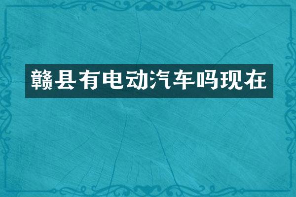 赣县有电动汽车吗现在