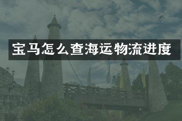 宝马怎么查海运物流进度