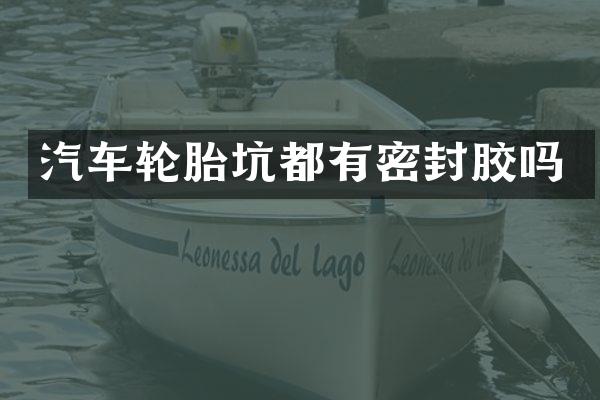 汽车轮胎坑都有密封胶吗