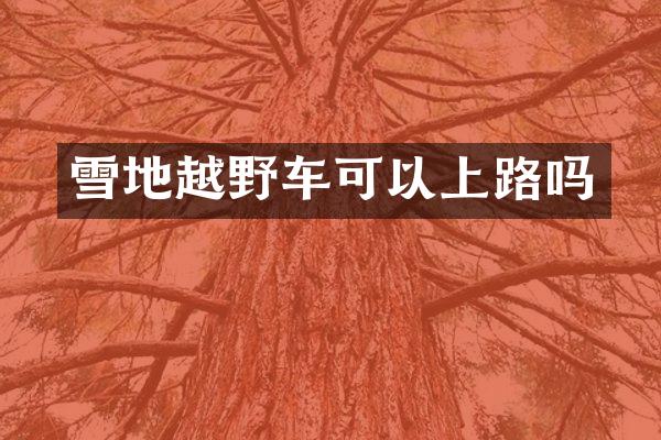 雪地越野车可以上路吗