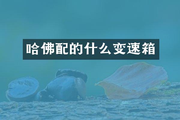 哈佛配的什么变速箱