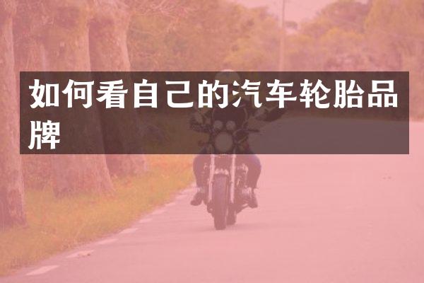 如何看自己的汽车轮胎品牌