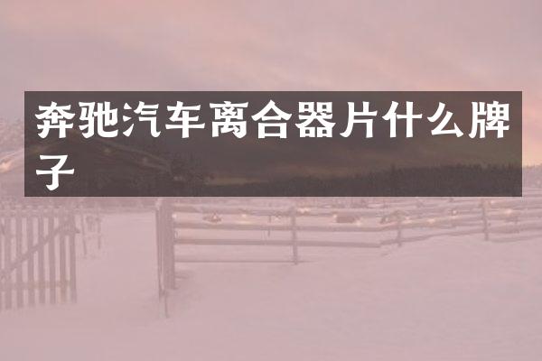 奔驰汽车离合器片什么牌子