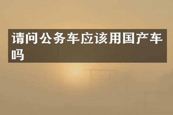 请问公务车应该用国产车吗