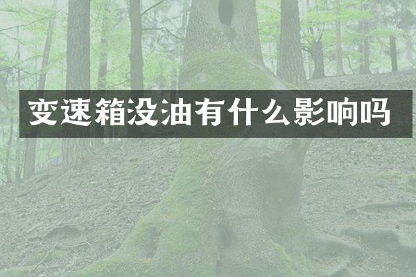 变速箱没油有什么影响吗