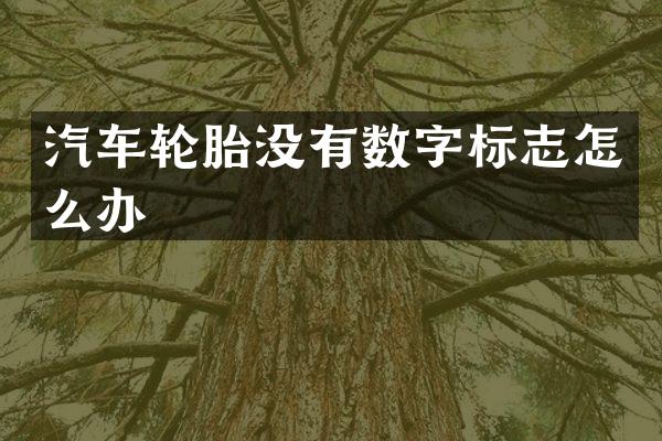 汽车轮胎没有数字标志怎么办