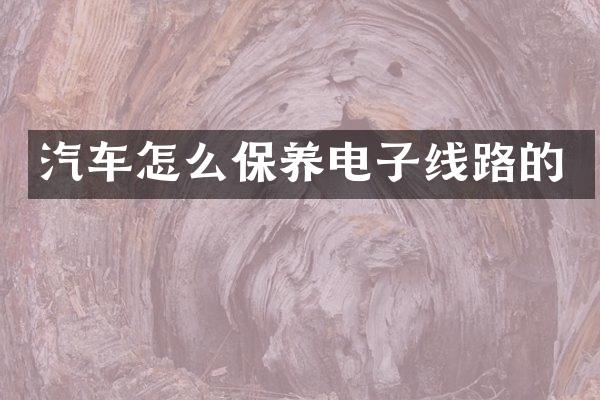 汽车怎么保养电子线路的