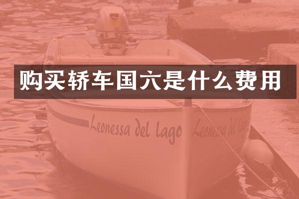 购买轿车国六是什么费用