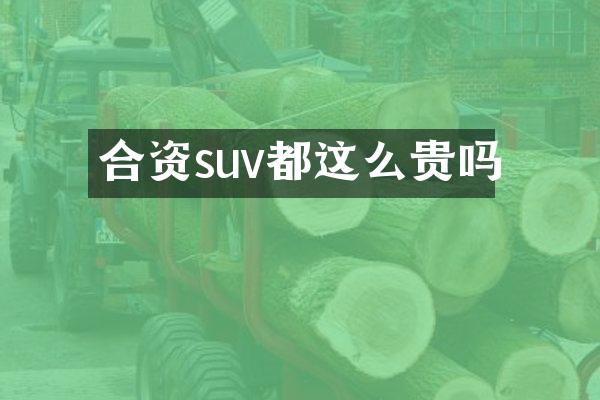 合资suv都这么贵吗