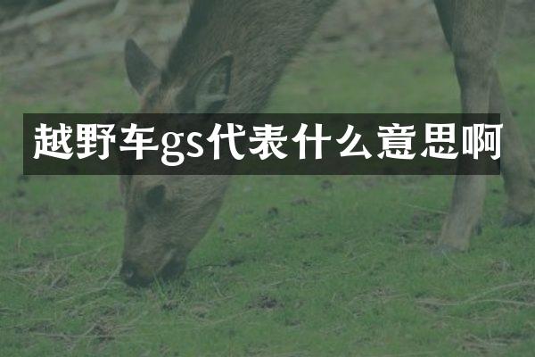 越野车gs代表什么意思啊
