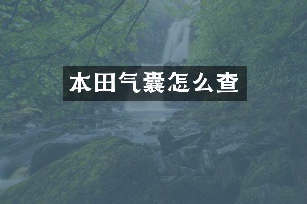 本田气囊怎么查